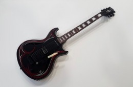 Gibson N-225 Pinstripe 2013