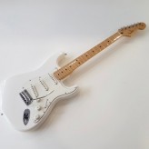 Fender Stratocaster Player 2019
