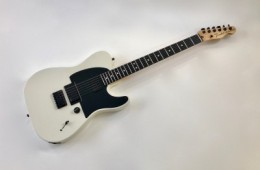 Fender Telecaster Jim Root 2012