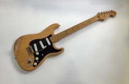 Fender Stratocaster Deluxe Player’s