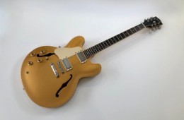 Gibson ES-335 Dot 2013 Gaucher