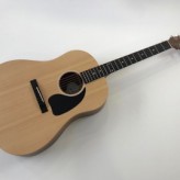 Gibson G-45 Natural Generation