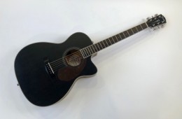 Fender PM-3CE Paramount 2021