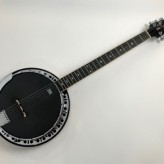 Epiphone Stagebird 2016 Banjo