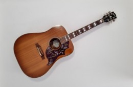 Gibson Hummingbird 2011