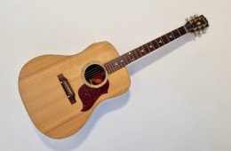 Gibson Songbird Deluxe 2001